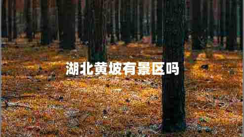 湖北黃坡有景區(qū)嗎