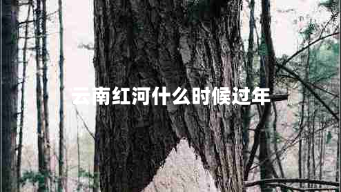 云南紅河什么時(shí)候過年