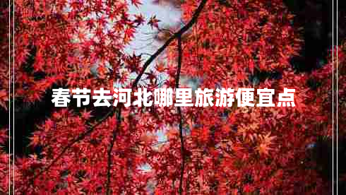 春節(jié)去河北哪里旅游便宜點
