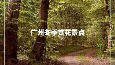 廣州冬季賞花景點