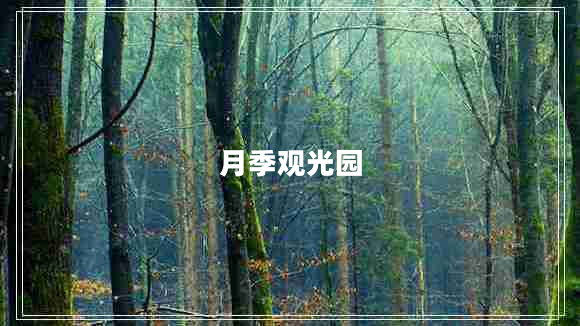 月季觀光園