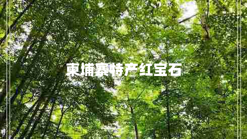 柬埔寨特產紅寶石