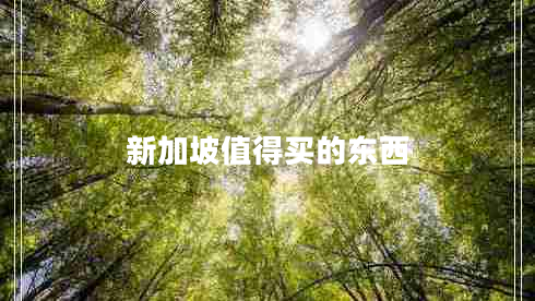 新加坡值得買的東西