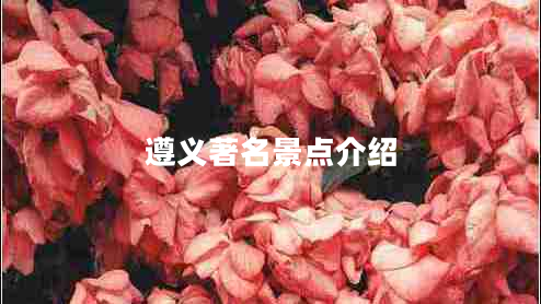 遵義著名景點(diǎn)介紹
