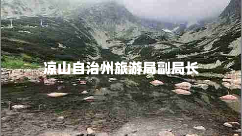 涼山自治州旅游局副局長