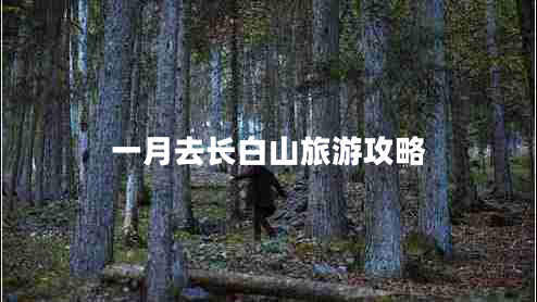 一月去長(zhǎng)白山旅游攻略