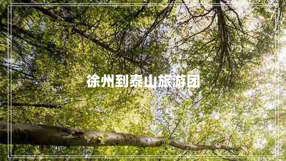 徐州到泰山旅游團(tuán)