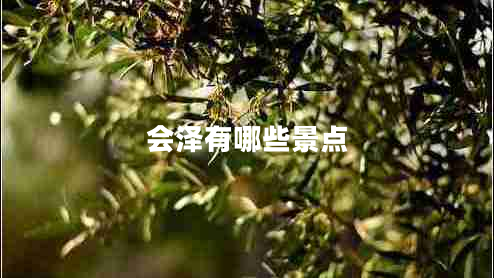 會澤有哪些景點