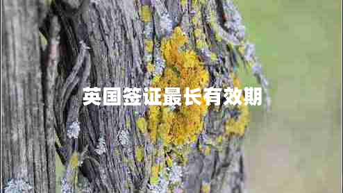 英國(guó)簽證最長(zhǎng)有效期