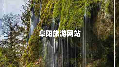 阜陽旅游網(wǎng)站