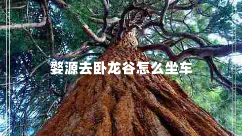 婺源去臥龍谷怎么坐車