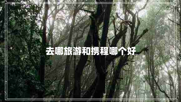 去哪旅游和攜程哪個好