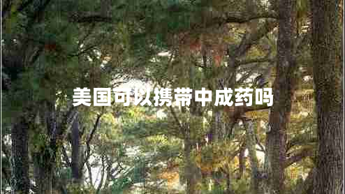 美國(guó)可以攜帶中成藥嗎