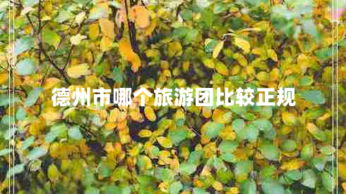 德州市哪個旅游團比較正規(guī)