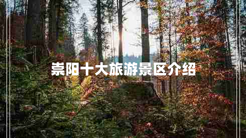 崇陽(yáng)十大旅游景區(qū)介紹