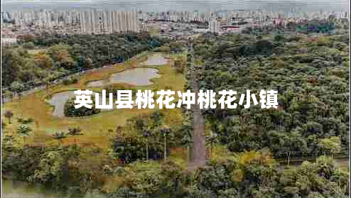 英山縣桃花沖桃花小鎮(zhèn)