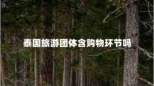 泰國(guó)旅游團(tuán)體含購(gòu)物環(huán)節(jié)嗎