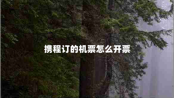 攜程訂的機(jī)票怎么開票