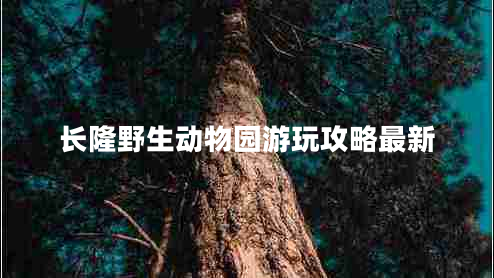 長(zhǎng)隆野生動(dòng)物園游玩攻略最新