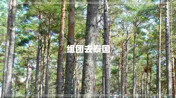 組團(tuán)去泰國(guó)