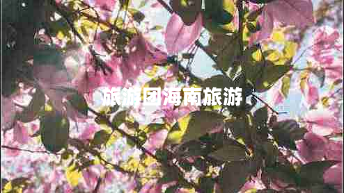 旅游團(tuán)海南旅游
