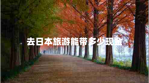 去日本旅游能帶多少現(xiàn)金