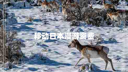 移動(dòng)日本漫游資費(fèi)