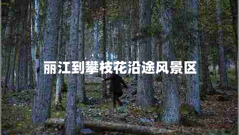 麗江到攀枝花沿途風景區(qū)