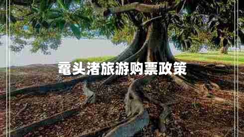 黿頭渚旅游購(gòu)票政策