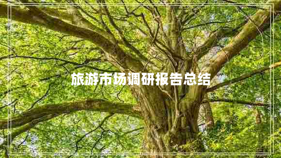旅游市場調(diào)研報告總結(jié)