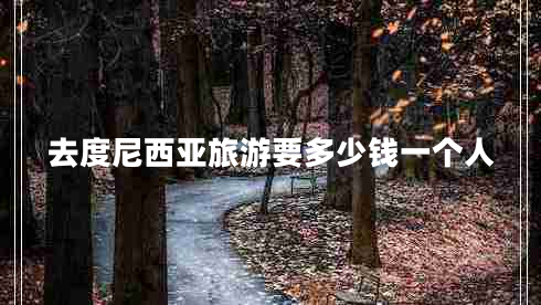 去度尼西亞旅游要多少錢一個(gè)人