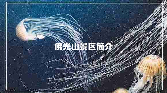 佛光山景區(qū)簡(jiǎn)介