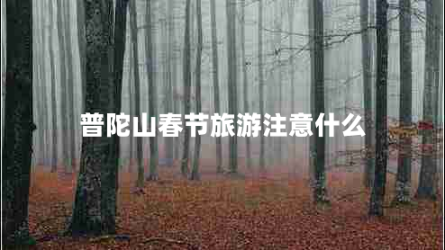 普陀山春節(jié)旅游注意什么