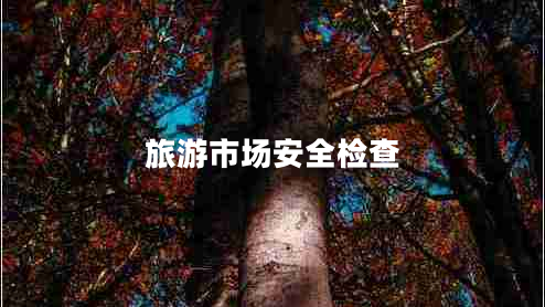 旅游市場安全檢查