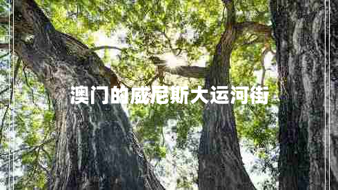 澳門的威尼斯大運(yùn)河街
