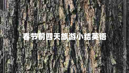 春節(jié)前四天旅游小結英語