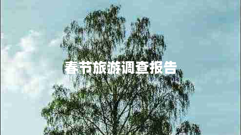 春節(jié)旅游調(diào)查報(bào)告