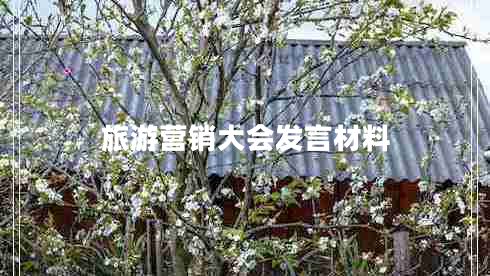 旅游營銷大會發(fā)言材料