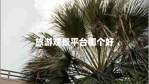 旅游觀景平臺(tái)哪個(gè)好