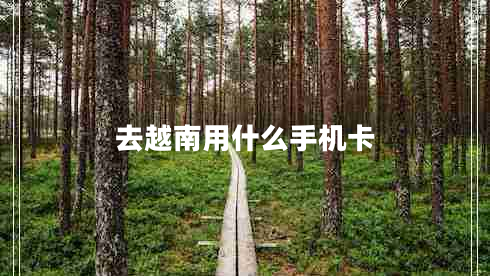 去越南用什么手機(jī)卡