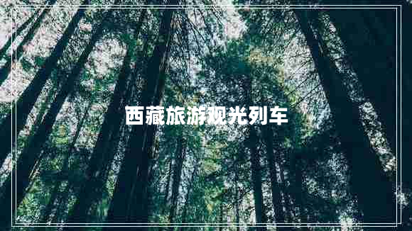 西藏旅游觀光列車(chē)