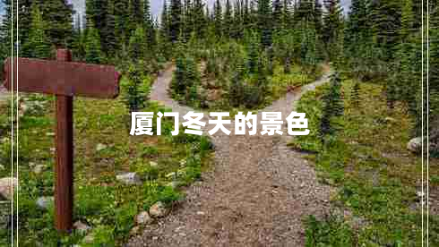 廈門冬天的景色