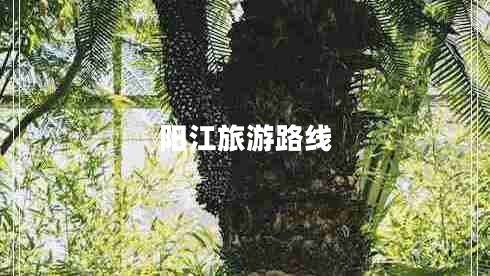 陽江旅游路線