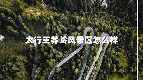 太行王莽嶺風景區(qū)怎么樣