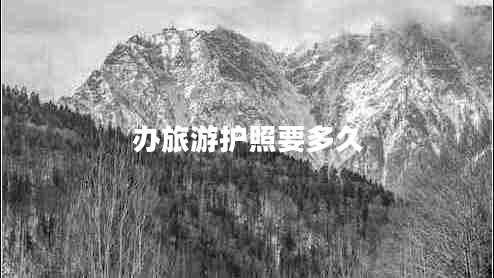 辦旅游護照要多久