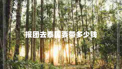 報團(tuán)去泰國要帶多少錢