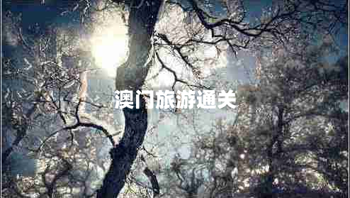 澳門旅游通關(guān)