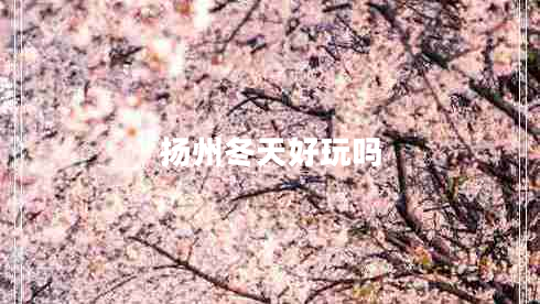 揚(yáng)州冬天好玩嗎