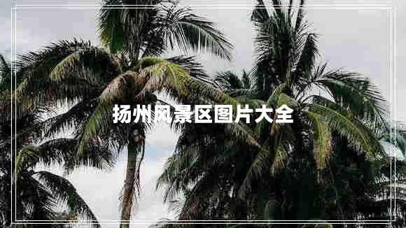 揚(yáng)州風(fēng)景區(qū)圖片大全