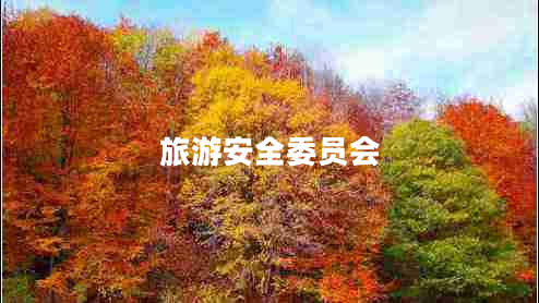 旅游安全委員會(huì)